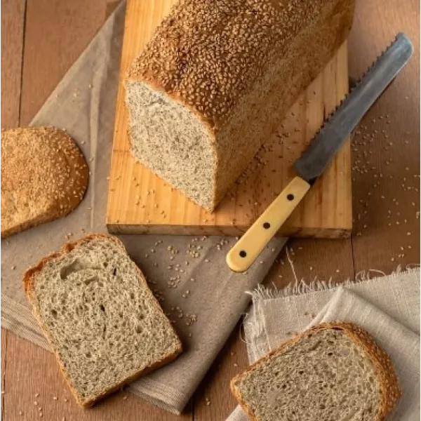 Pan De Sarraceno Y Miel Madre Resistencia