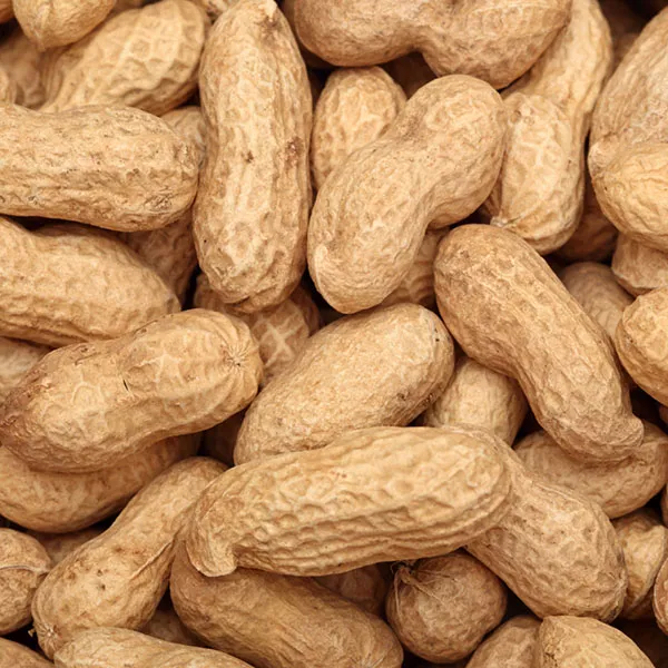 Maní Con Cáscara X 250